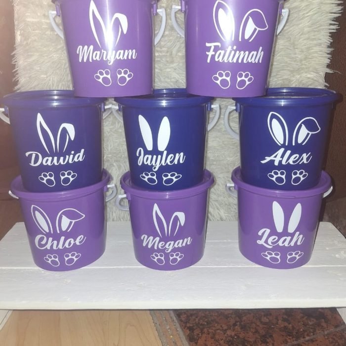 whatsapp-image-2025-04-29-at-090943-5cdb0c98-1